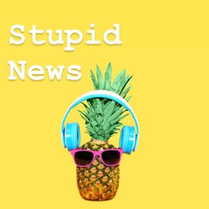 Stupid News