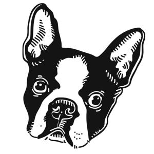 The Boston Terrier Society