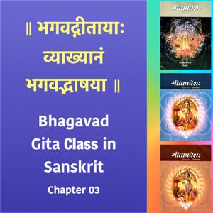 Bhagavad Gita Class (Ch3) in Sanskrit by Dr. K.N. Padmakumar (Samskrita Bharati)