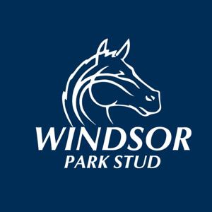 Windsor Park Stud - The Breeding Barn