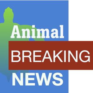 Animal Breaking News