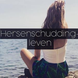 Hersenschuddingleven