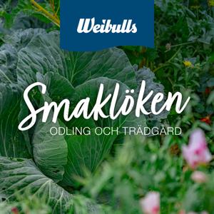 Smaklöken: Odling och trädgård