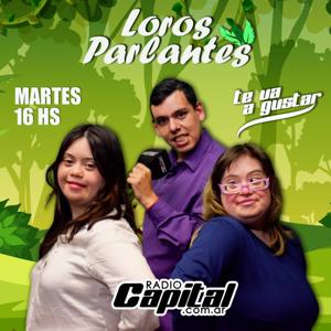 Loros Parlantes