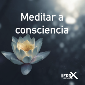 Meditar a consciencia