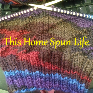 This Home Spun Life