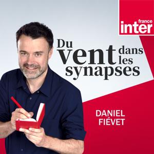 Du vent dans les synapses