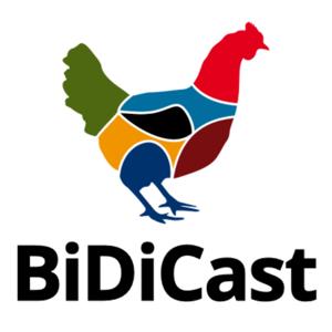 BiDiCast