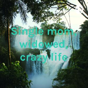 Single mom, widowed, crazy life