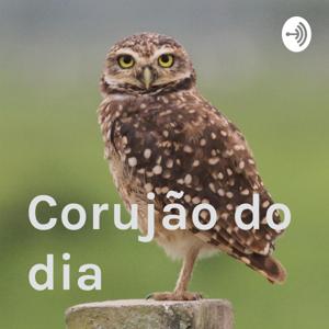 Corujão do dia