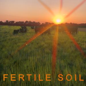 Fertile Soil
