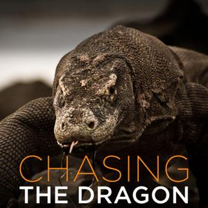 Chasing the Dragon (HD)