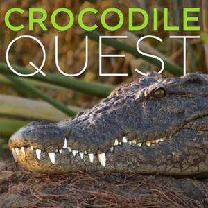 Crocodile Quest (HD)