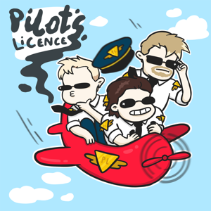 Pilots Licence