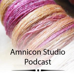 AmniconStudio