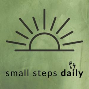 Small Steps Daily