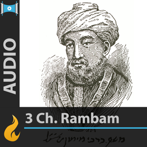 Rambam - 3 Chapters a Day