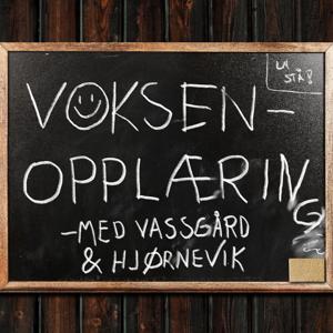 Voksenopplæring