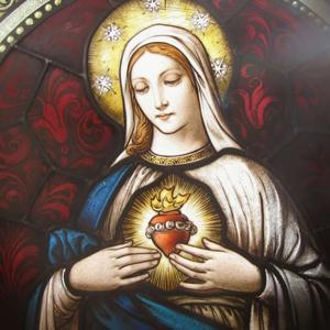 Hail Immaculate Heart