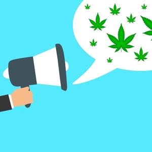 Cannabis News