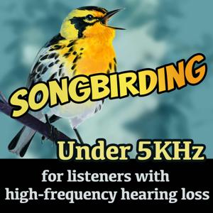 Songbirding Under 5kHz by Rob Porter