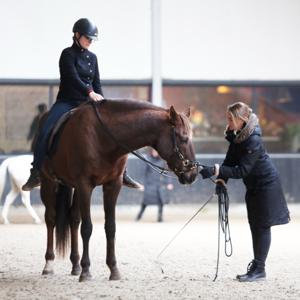 De "goed bekeken" paardenpodcast door Bianka Farkas en Celine van der Stroom