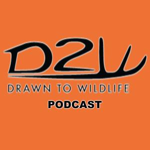 Drawn To Wildlife