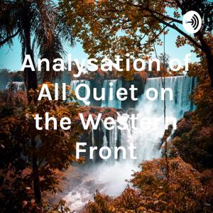 Analysation of All Quiet on the Western Front