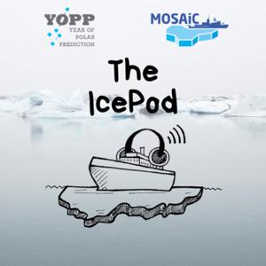 The IcePod