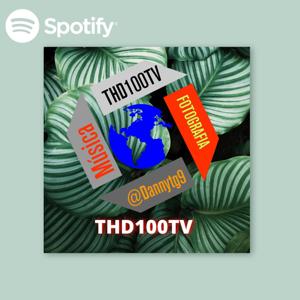 THD100TV