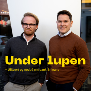 Under lupen - ufiltrert og nedpå om bank & finans