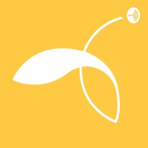 The Samara Centre for Democracy