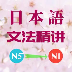 日语文法精讲