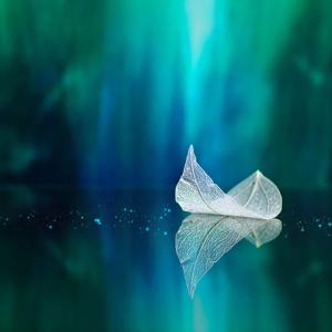 Reflections