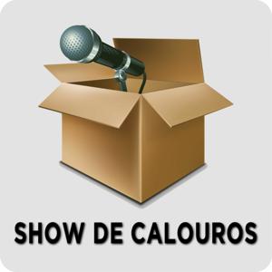 Show de Calouros Produção experimental dos alunos da Faculdade de Comunicação e Artes da PUC Minas Rádio Online PUC Minas