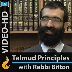 Discovering Talmudic Principles