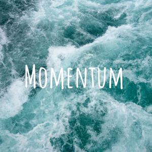 Momentum