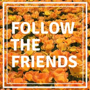 Follow The Friends