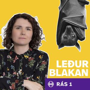 Leðurblakan