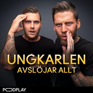 Ungkarlen Avslöjar Allt