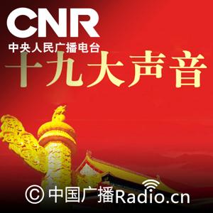 十九大声音