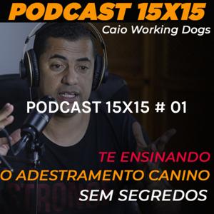 DOGCAST ADESTRAMENTO CWD 15X15