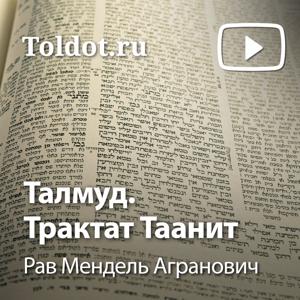 Рав Мендель Агранович  — Талмуд. Трактат Таанит