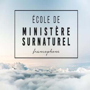 David Théry - École de Ministère Surnaturel Francophone