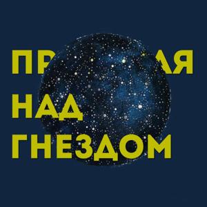 Пролетая над гнездом