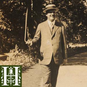 Sincerely Yours, Wallace Stevens