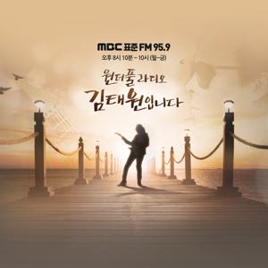 원더풀 라디오 김태원입니다 (종영)