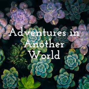 Adventures in Another World