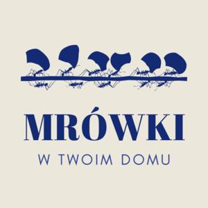 Mrówki W twoim domu