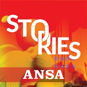 ANSA Stories